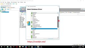 DbVisualizer Pro 10.0.19 Crack License Key Full Version 2022